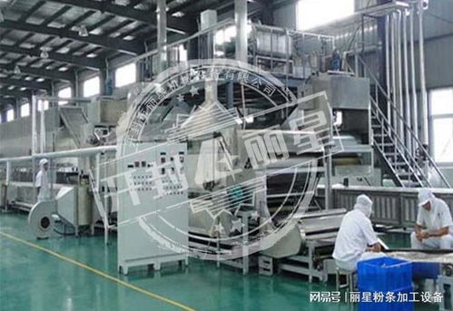 機械化加工粉條的優勢、常見問題及解決方案全解析