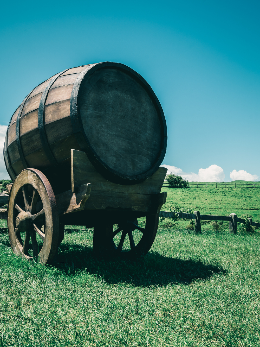 鄉(xiāng)野釀酒 葡萄酒桶、有機農(nóng)業(yè)與酒精飲料的和諧圖景